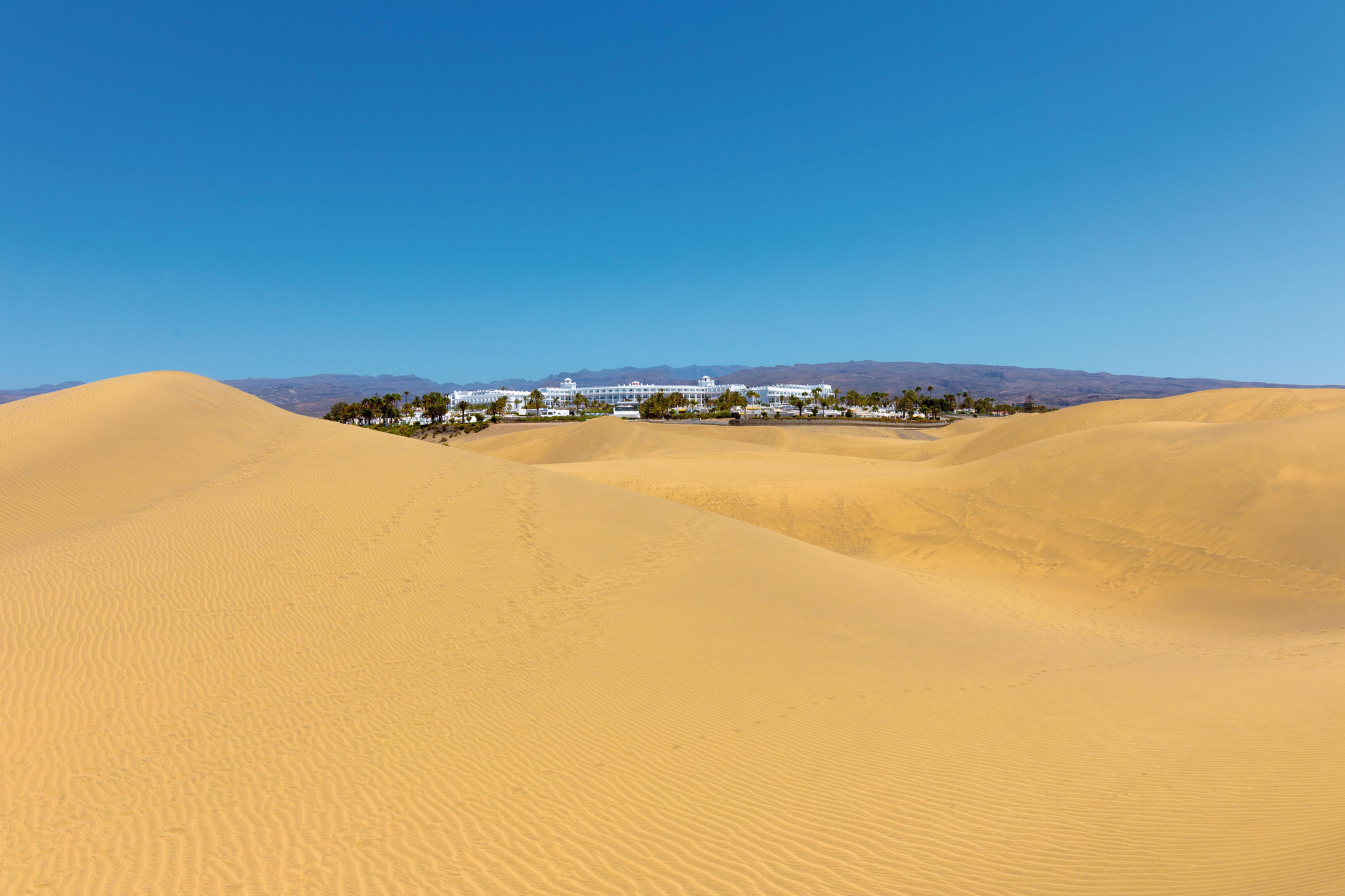 Hotel Riu Palace (adults Only) 4*